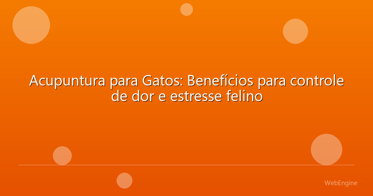 Acupuntura para Gatos: Benefícios para controle de dor e estresse felino