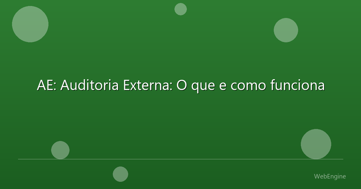 AE: Auditoria Externa: O que e como funciona