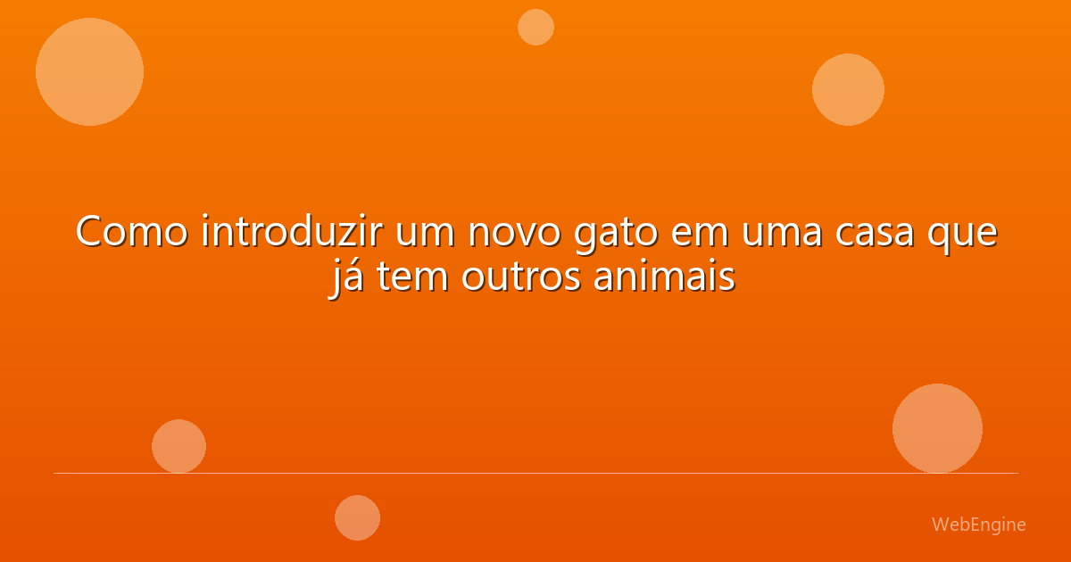 Como introduzir um novo gato em uma casa que já tem outros animais