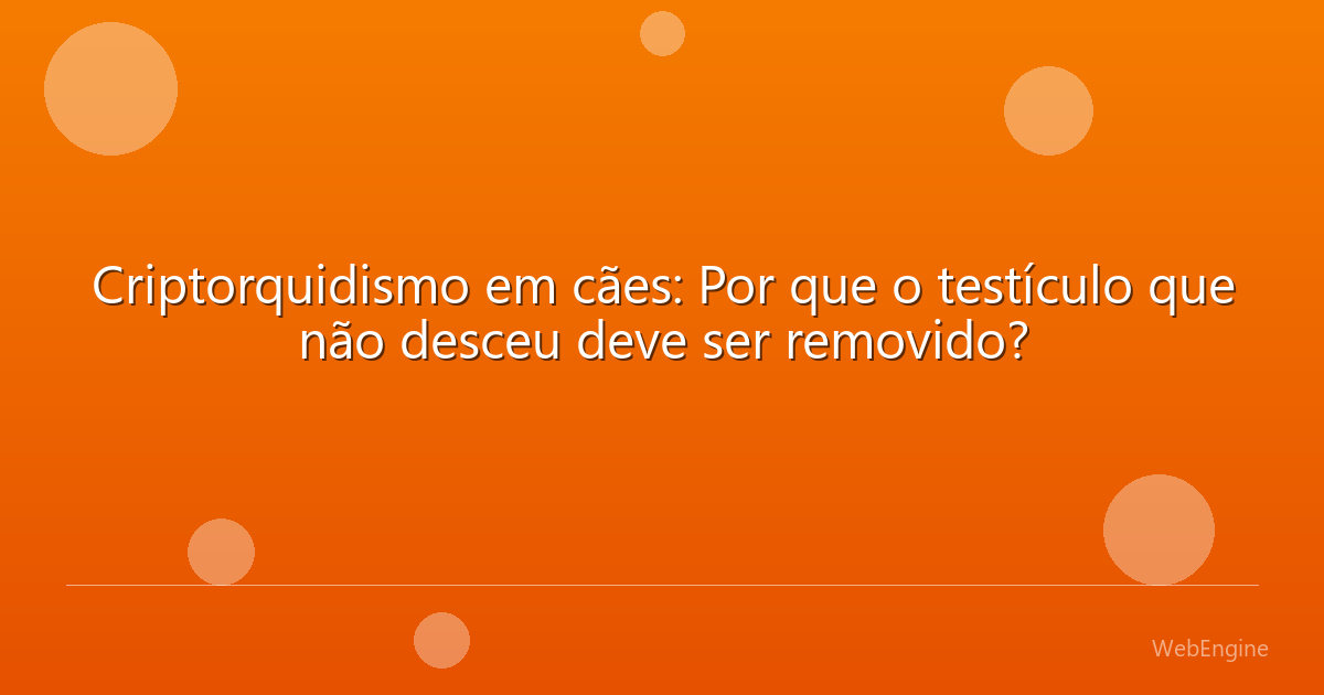 Criptorquidismo em cães: Por que o testículo que não desceu deve ser removido?