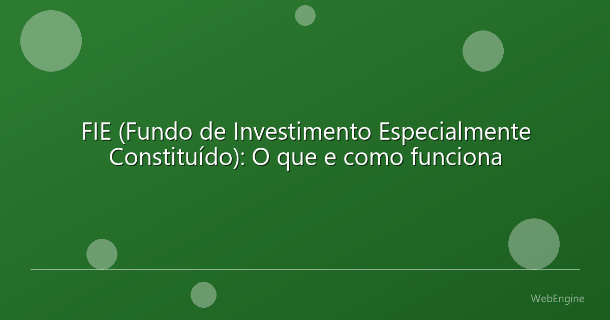 FIE (Fundo de Investimento Especialmente Constituído): O que e como funciona