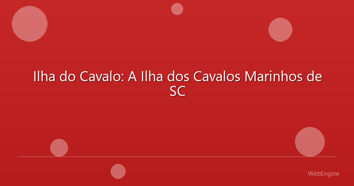 Ilha do Cavalo: A Ilha dos Cavalos Marinhos de SC