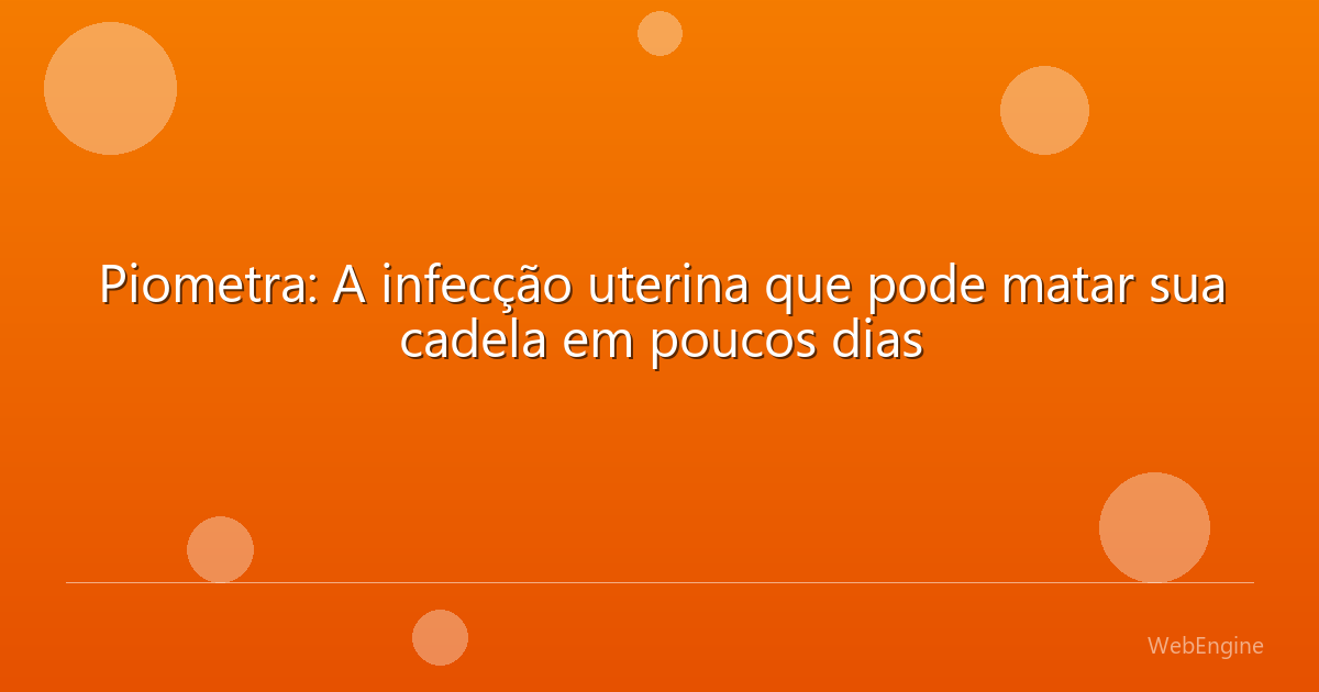 Piometra: A infecção uterina que pode matar sua cadela em poucos dias