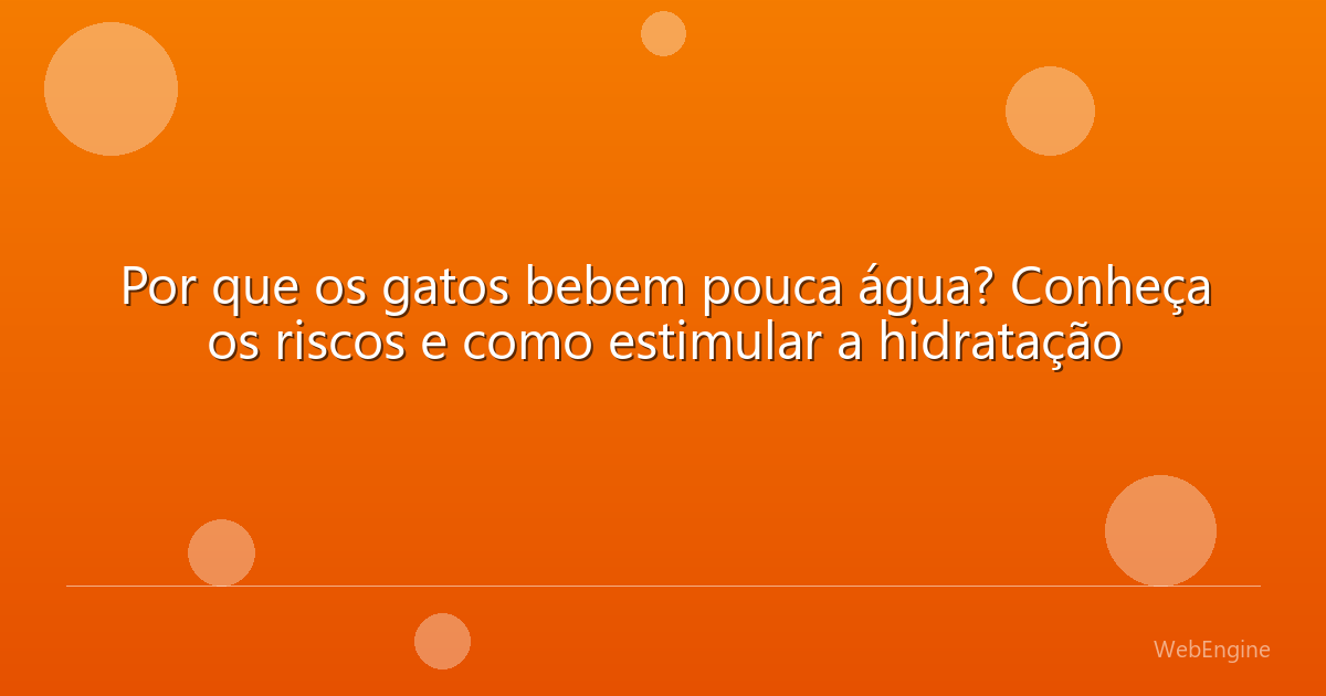 Por que os gatos bebem pouca água? Conheça os riscos e como estimular a hidratação