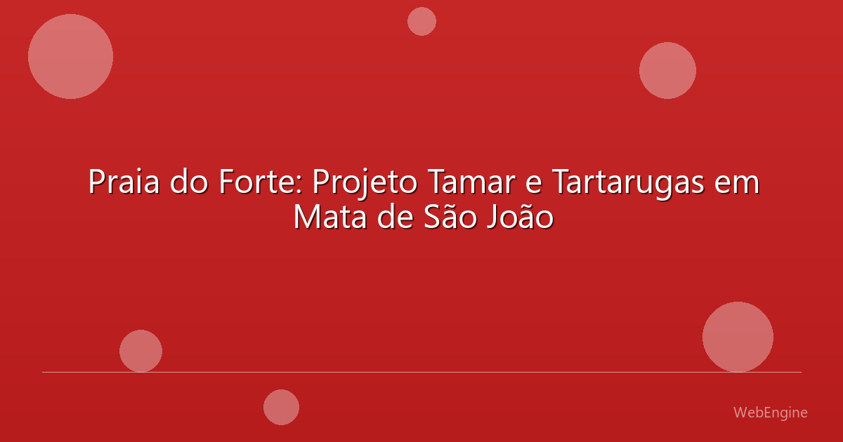 Praia do Forte: Projeto Tamar e Tartarugas em Mata de São João