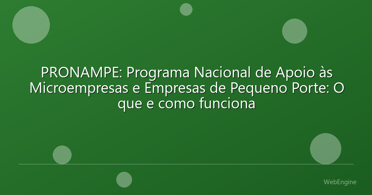 PRONAMPE: Programa Nacional de Apoio às Microempresas e Empresas de Pequeno Porte: O que e como funciona