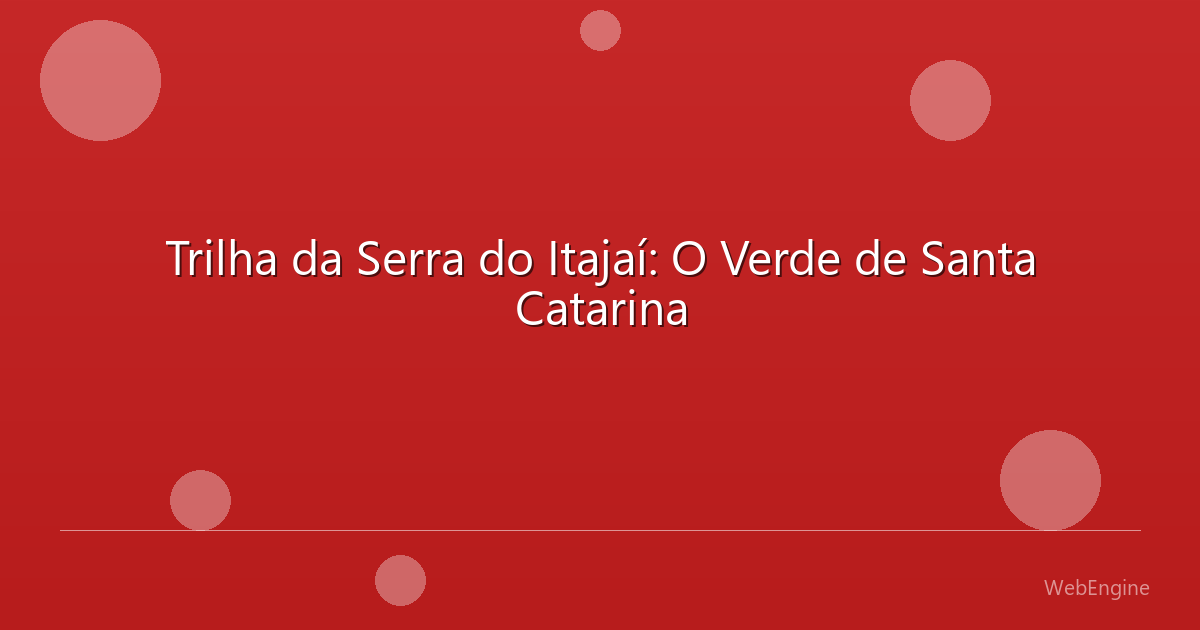 Trilha da Serra do Itajaí: O Verde de Santa Catarina